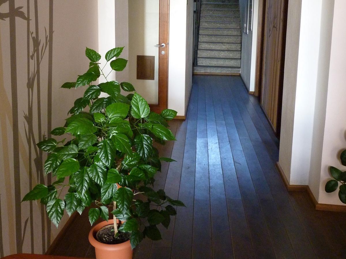 Hotel Art Písek Екстериор снимка
