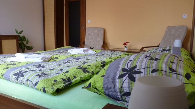 Hotel Art Písek Стая снимка